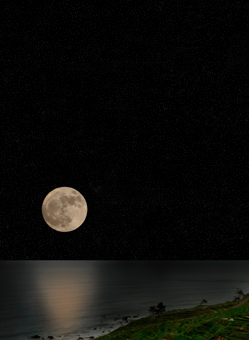 満月の夜に摘まれた茶葉には、特別な力が宿っています